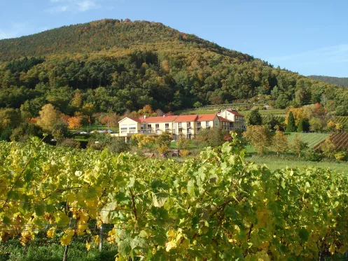 Alte Rebschule Herbst